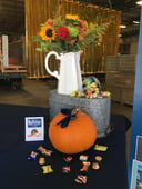 2019-10-10 13.17.47-1